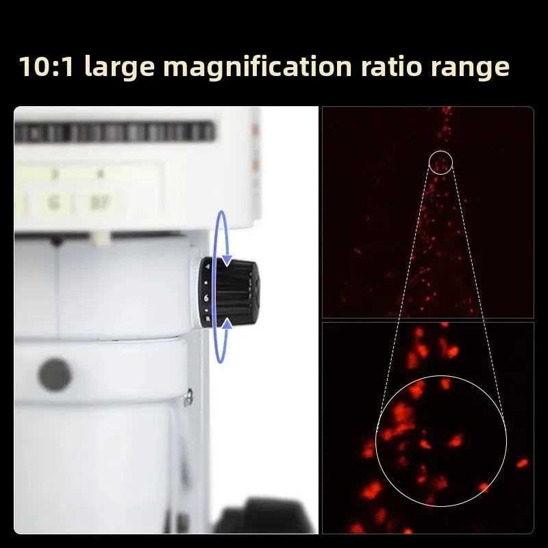 Microscópio de fluorescência p - Medical Lab Observer avaliação e preço